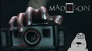 Patch Plays MADiSON (Live)