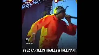 Vybz Kartel fans. #youtubeshorts #reggae #vybzkartel #vybzkartelmusic #jamaica #viralshorts