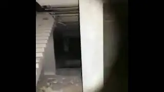 10010 10100 10101 010101 00101 010100 10100 10101 01010 10100 10101 00101 01010 10010 10101 01011