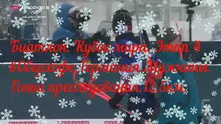 Биатлон  Кубок мира  Этап 4 в Оберхофе, Германия  Мужчины  Гонка преследования  12,5 км