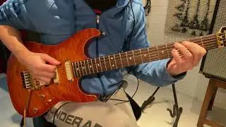 Free The Tone: FF-1Y Dual Delay (My two presets)