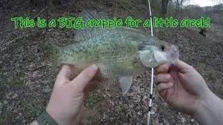 Little Creek LOADED with Fish South East Ohio