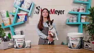 MaxMeyer La Smacchiabile