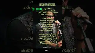 KATHU PAATTU |  Raaza Razak |  Indie Radar | Mm Hamsa Muvattupuzha #album #shorts
