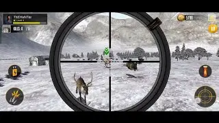 live animal hunting|save life to small animal 🤠