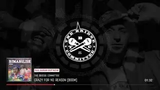 The Bridge Committee - Crazy for no reason (Boom)