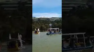 BURNHAM PARK SWAN BOATS RIDING,BAGIUO CITY#shorts #burnhampark #swan #bagiuocity #boat