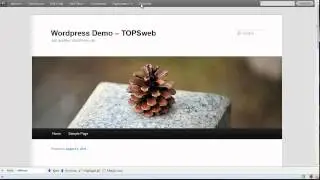 Wordpress Tutorial - Settings - Discussion