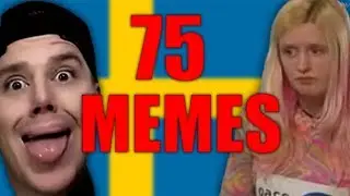 75 SVENSKA MEMES P&Aring; 260 SEKUNDER!