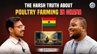 The Hidden Challenges of Poultry Farming in Ghana | PVS Global Talks