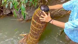 Perangkap Ikan Bambu Tradisional, Hasilnya GILA 😱