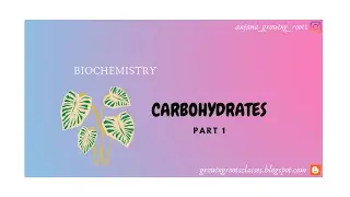 Carbohydrates - Malayalam | Glucose | Fructose | Monosaccharides | Degree | Biochemistry