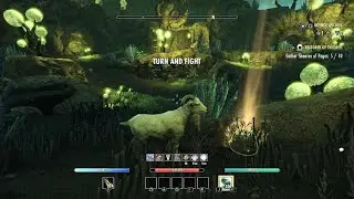 ESO - Infinite Archive - Be the GOAT
