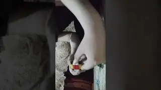 собираем ëлочную игрушку из лего 😘