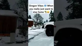 Oregon Winter 🥶 Vibes 😀 #winter #stayhome #freezing