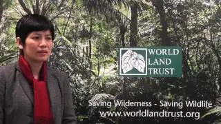 Meet World Land Trust conservation partner Viet Nature