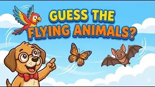 Guess the Flying Animals 🦅🦋 | Fun Kids Quiz