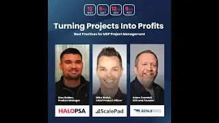 Turning Projects into Profits: Best Practices in MSP Project Management