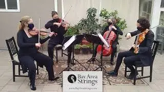 XO (Beyoncé) ~ Bay Area Strings