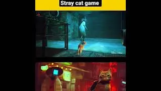 🤔 | stray | stray gameplay | cat game | puzzle solve | #shorts