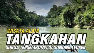 Tangkahan Langkat! Surga Tersembunyi di Gunung Leuser, Explore Tangkahan Langkat 2026!