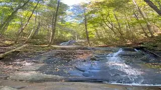 Fall Branch Falls (Waterfall)