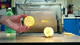 Density: Solids and Holes Demonstration (Apple Slices)