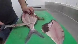 Как приготовить филе морвонга