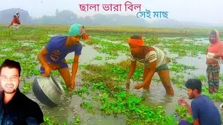 ছালা ভারা মাট অনেক সুন্দর মাছ গ্রামের সাধারণ মানুষ এই বিলে প্রচুর মাছ ধরে জেল মাছ সেন মাছ টেংরা মাছ