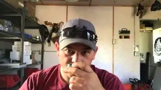 Red Seal Mint Dip Reveiw