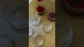 Natural Lip balm  @greenpetals