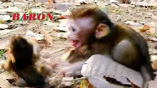 BABY MONKEY BARON CRY TANTRUM ANGRY MOM BRIANNA LEAVE HIM ALONE