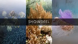 FLOWAVE FILMS SHOWREEL | 1st April, 2019