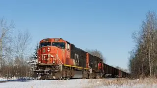 CN 5751 and 5613 Lead L556 Down the Coronado Subdivision!