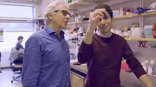 Beta Cell Therapies: Replacement Research in Boston