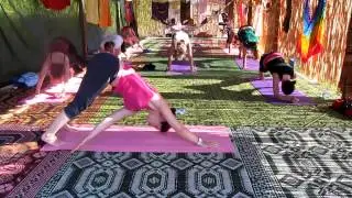 TISH DODSON - YOGA TEACHER & GAIT THERAPIST