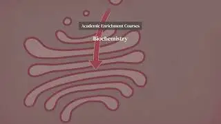 Spend Your Summer with Harvard Medical School Pre-College Online Certificate Program