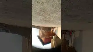 small camera shots #camera #cowvideos #shortvideo