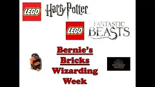 Bernie's Bricks Updates and Wizarding Week Adventures