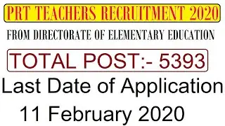 DEE PRT TEACHERS RECRUITMENT 2020 FOR 5393 POST, APPLY ONLINE, PRIMERY TEACHERS GOVERNMENT JOB 2020