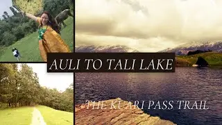 औली से ताली लेक। Auli to Tali lake | gurson bugyal । The Kuari pass trail