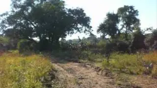 zambia.wmv