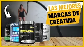 🏆 Las 5 MEJORES MARCAS DE CREATINA 2025 (EN M&Eacute;XICO)