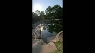 bubblegum trick worm largemouth bass #zoombaits #freshwaterfish #bassfishing