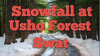 Usho Forest || SnowFall season #swat #ushuforest #snowfall @Afffa_Becutetv