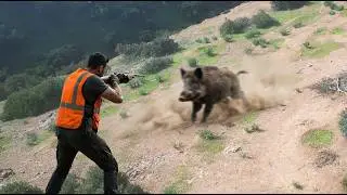 Hunting Wild Boar -Season :2026 || -KEMISSET -AIT MIMOUNE - PART 6