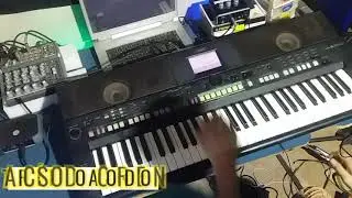 TARCIRSIO DO ACORDEON YAMAHA PSR s650-s750-s950 2021