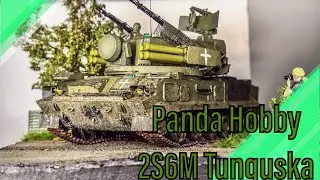 Panda Hobby 2S6M 1/35