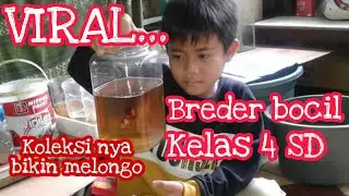 VIRAL BREDER BOCIL KELAS 4 SD !!!