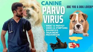 If you have a dog,You should watch it.Canine Parvo Virus(Deadly Disease in Dogs)